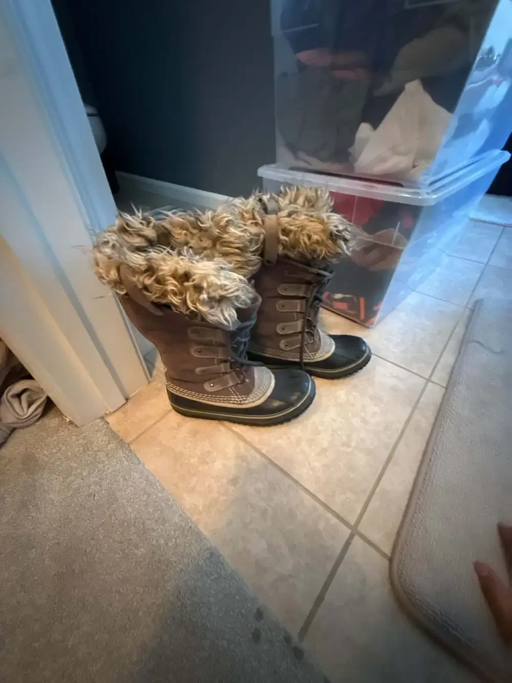 Sorel joan arctic